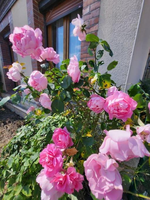 L'Oree Des Lacs, Maison De Village Tout Confort Radonvilliers 外观 照片