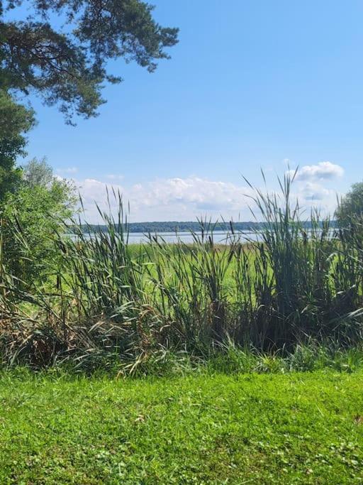 L'Oree Des Lacs, Maison De Village Tout Confort Radonvilliers 外观 照片
